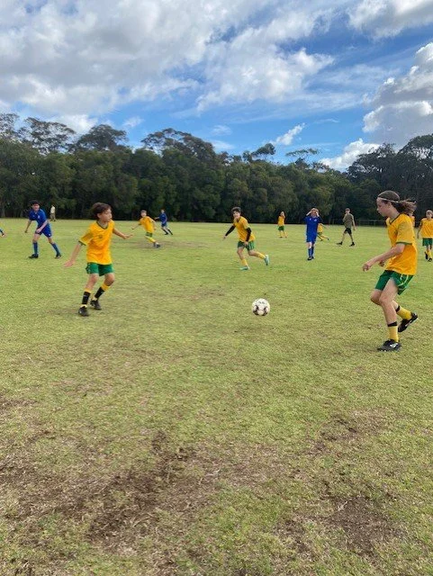 U14 Sharks 6.jpg