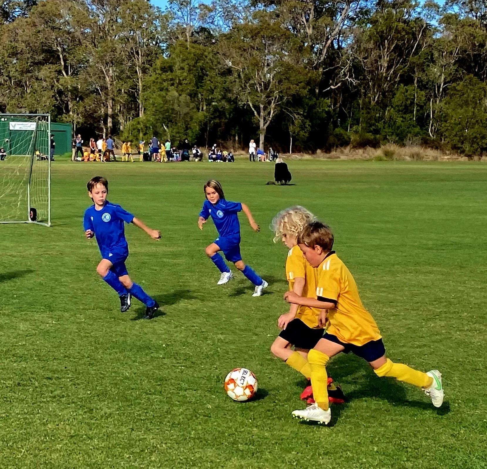 U7 Messi Kids 3.jpg