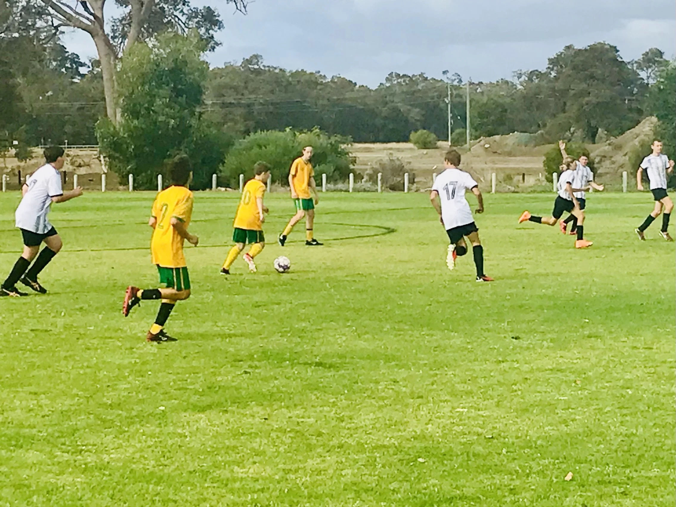 U14 Sharks.jpg