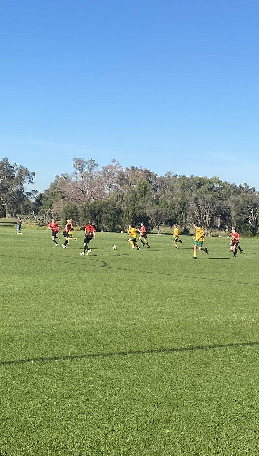 U14 Sharks 6.jpg