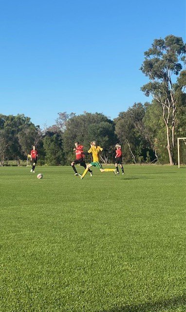 U14 Sharks 9.jpg