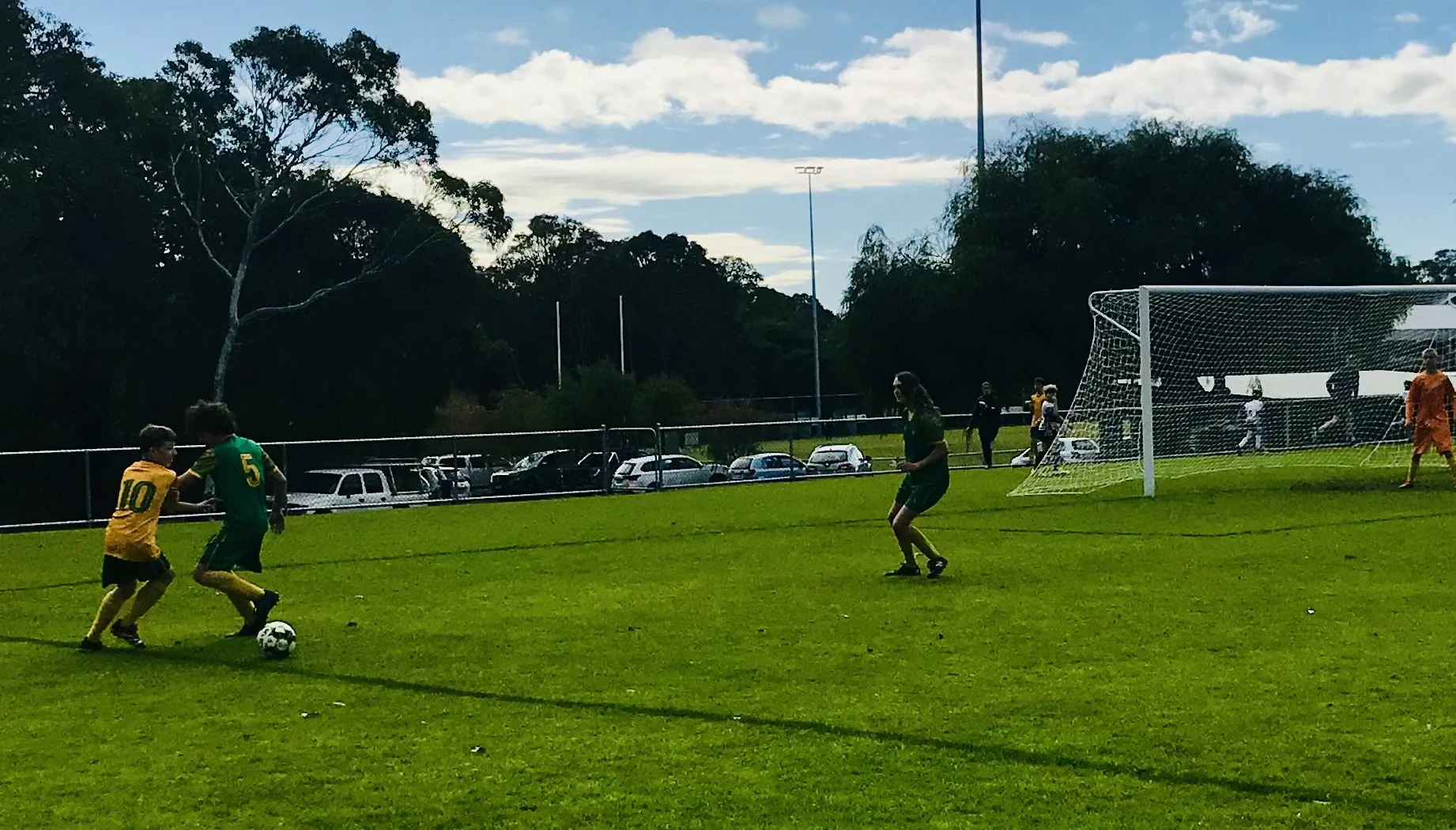 U14 Sharks 1.jpg