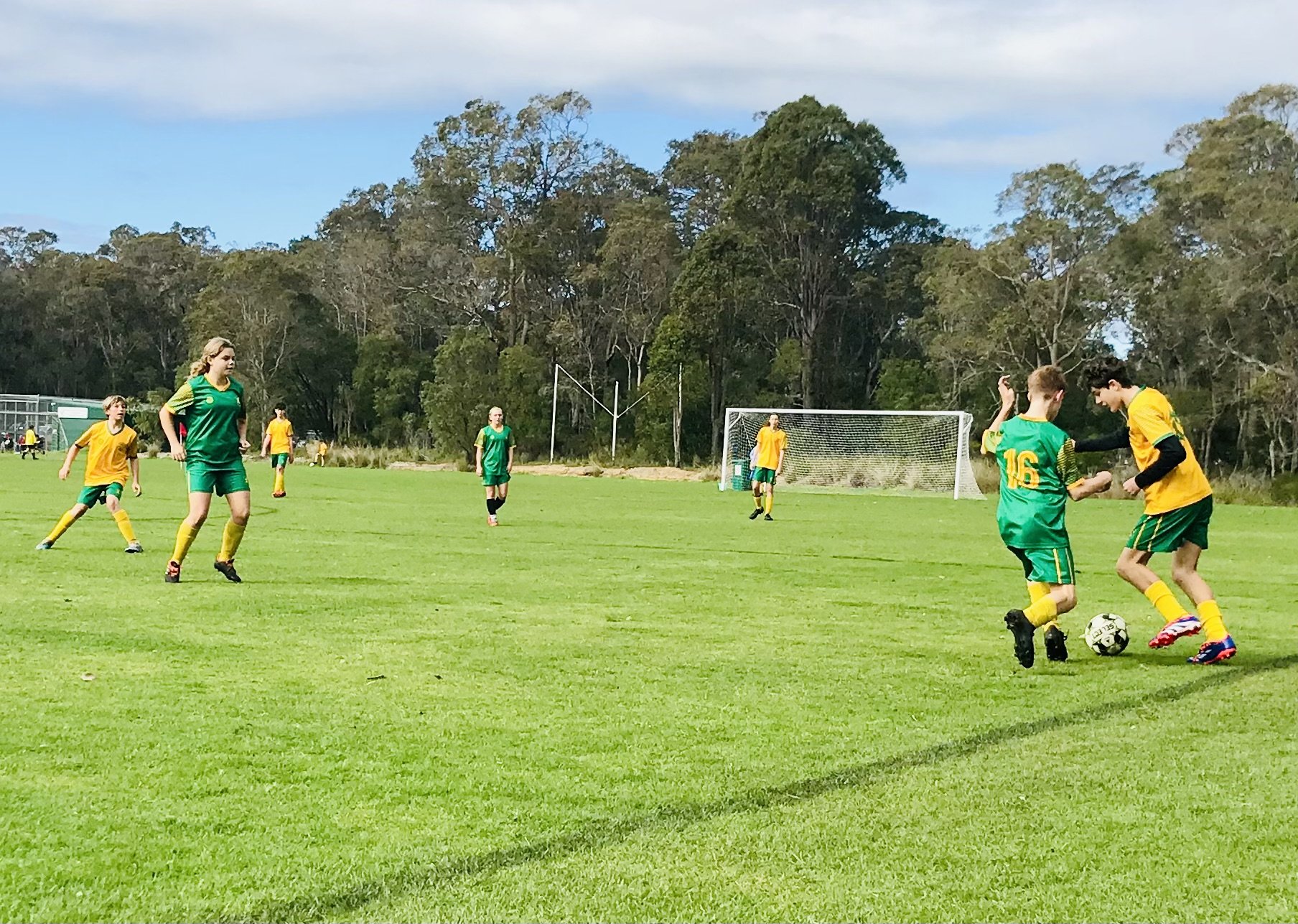 U14 Sharks 2.jpg