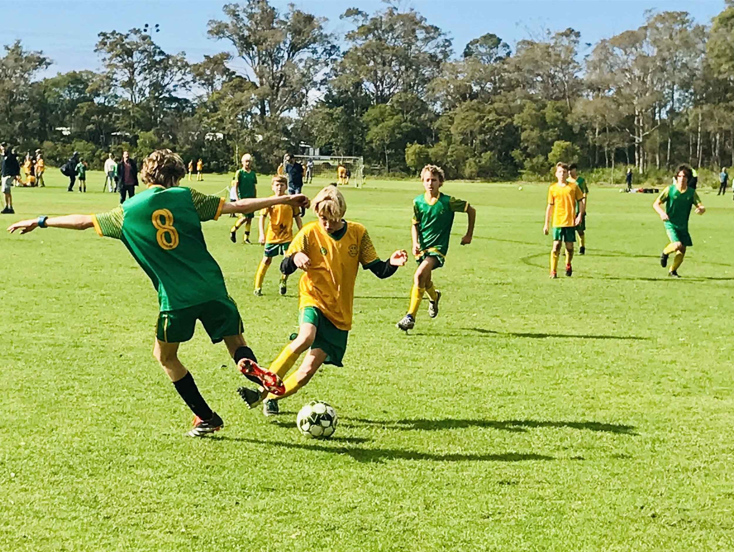 U14 Sharks 3.jpg