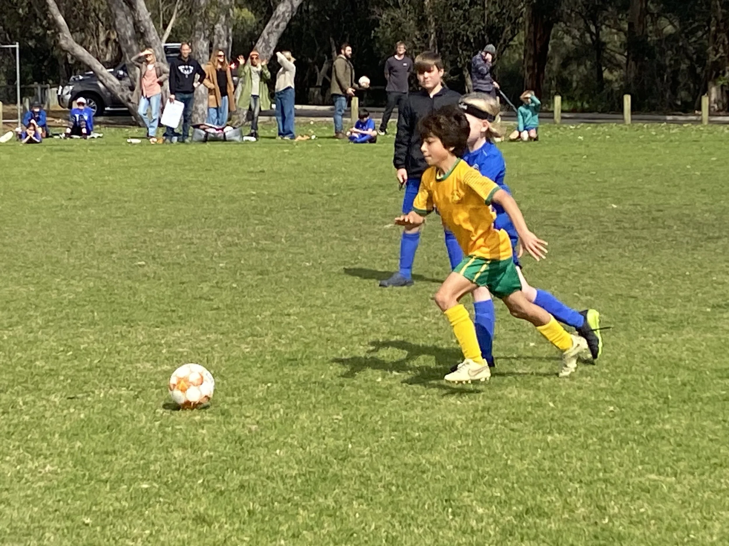 U9 Grizzlies 3.JPG
