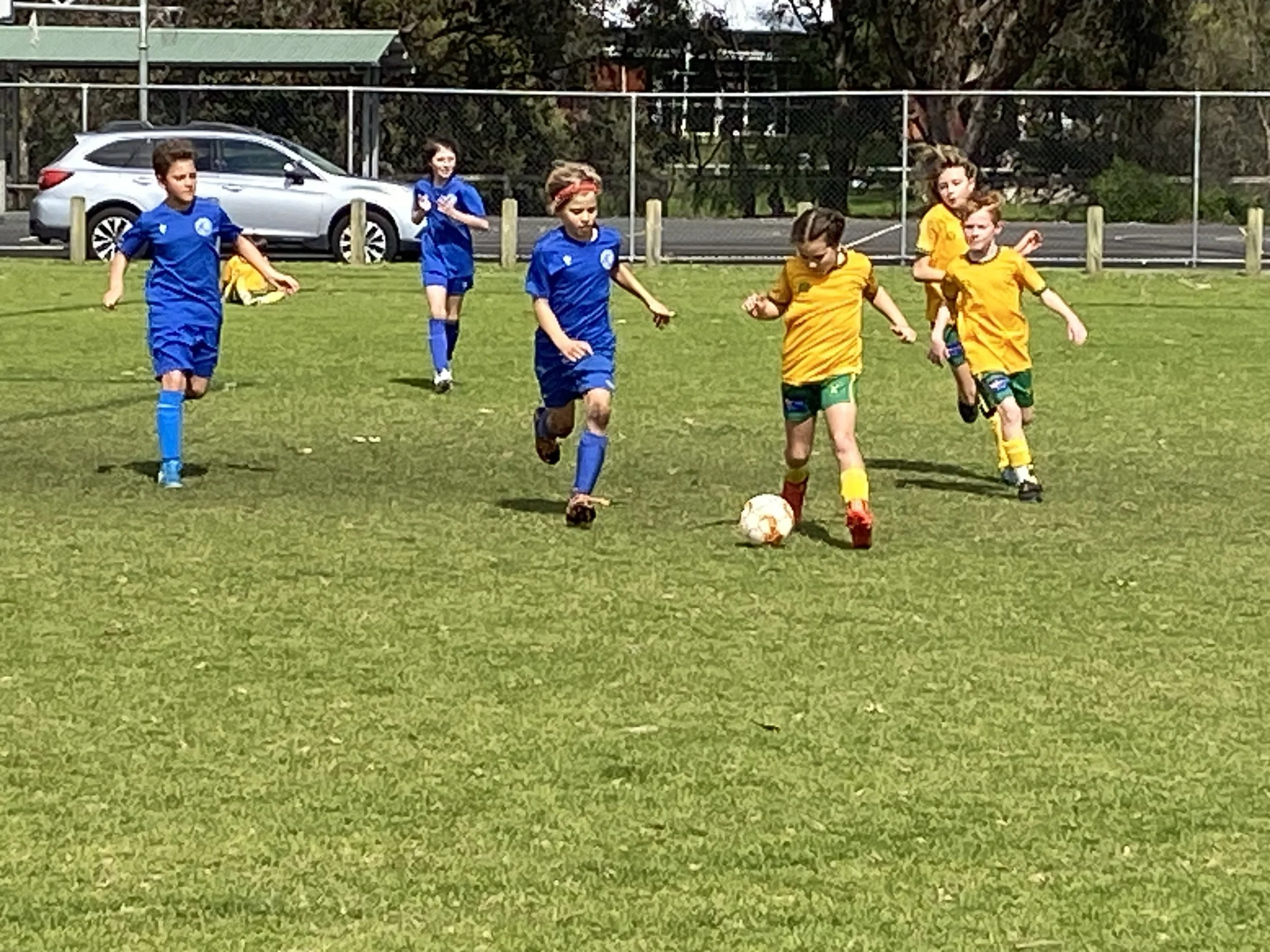 U9 Grizzlies 4.JPG
