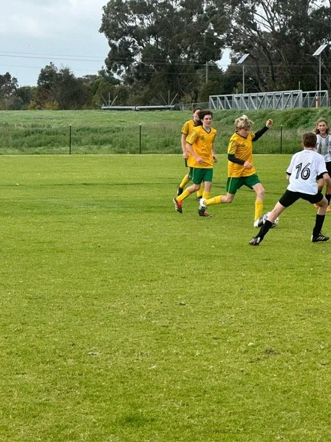 U14 Sharks 1.jpg