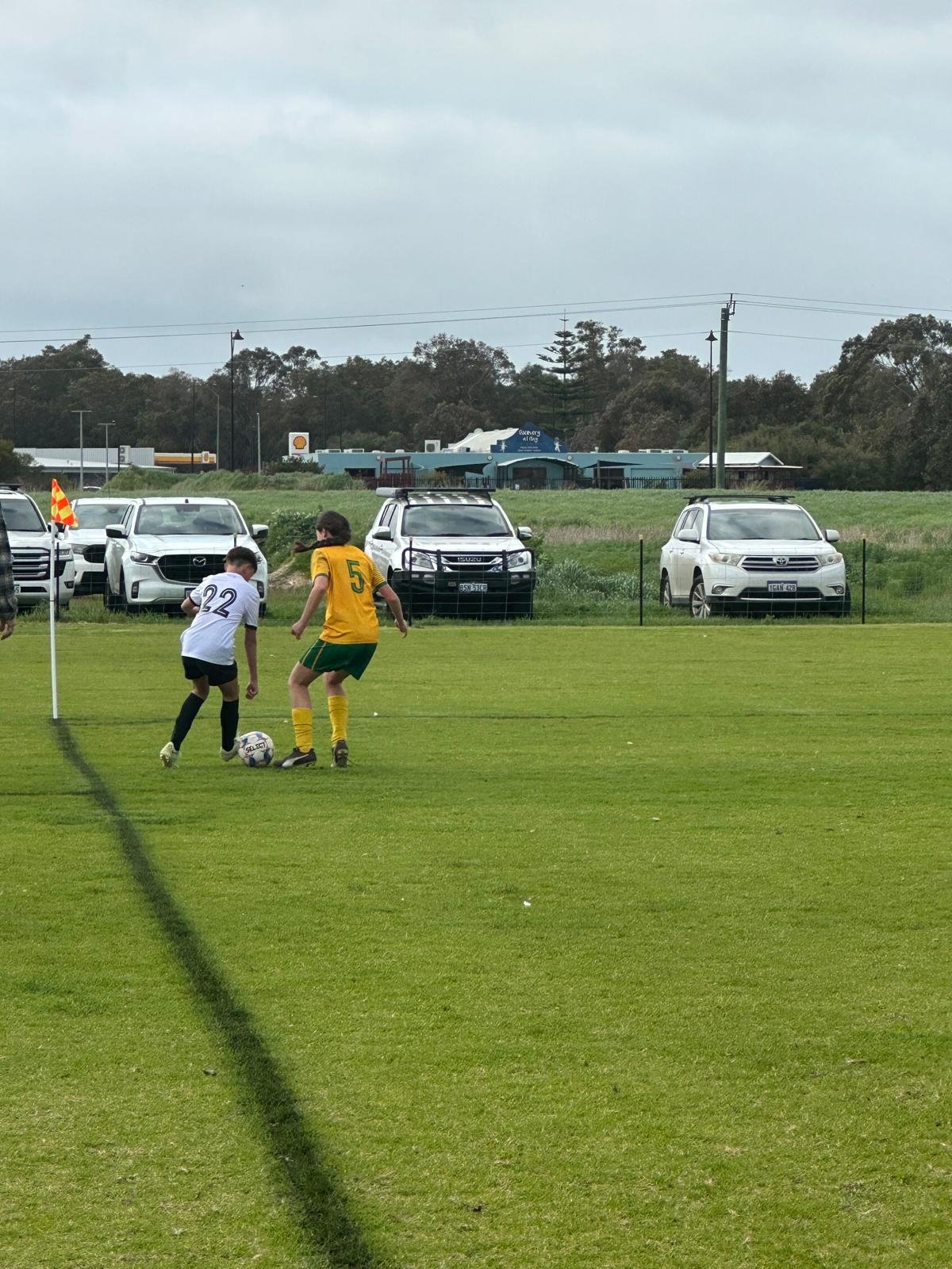 U14 Sharks 2.jpg