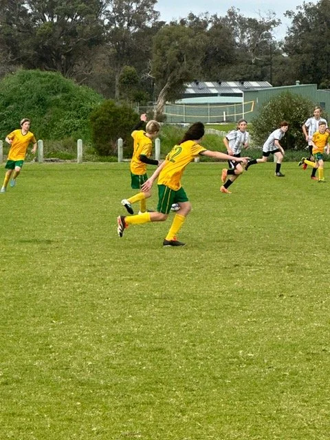 U14 Sharks 3.jpg