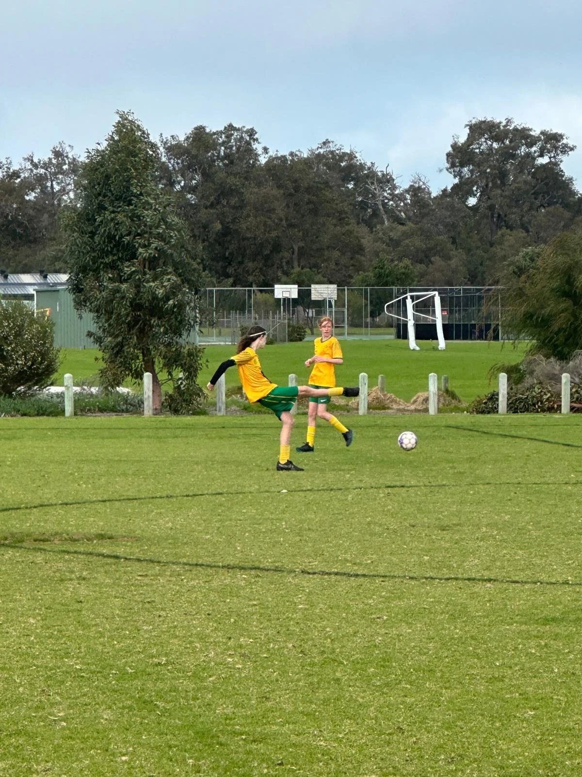 U14 Sharks 4.jpg
