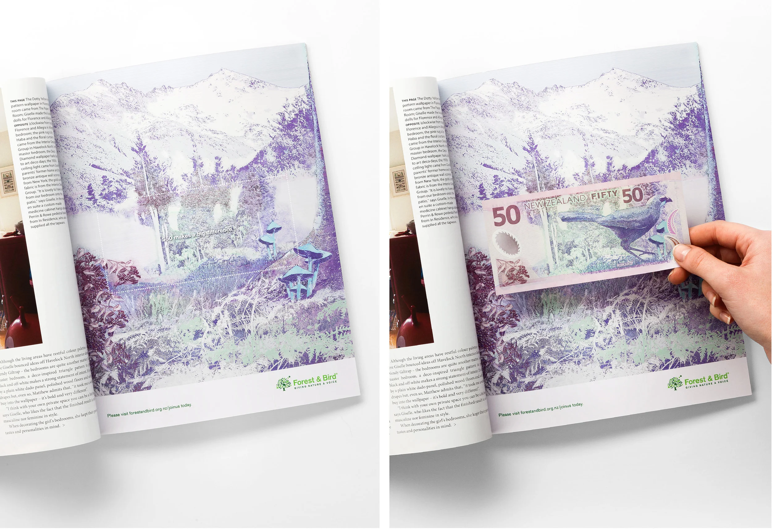 F&B-A3---$50-Note.jpg
