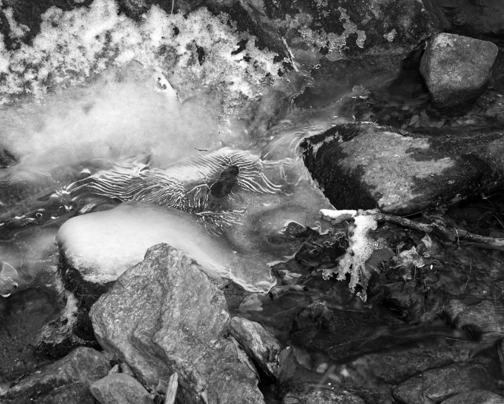 E94780AD-AB19-4730-A902-94BEF1FF0F71_1_105_c.jpeg
