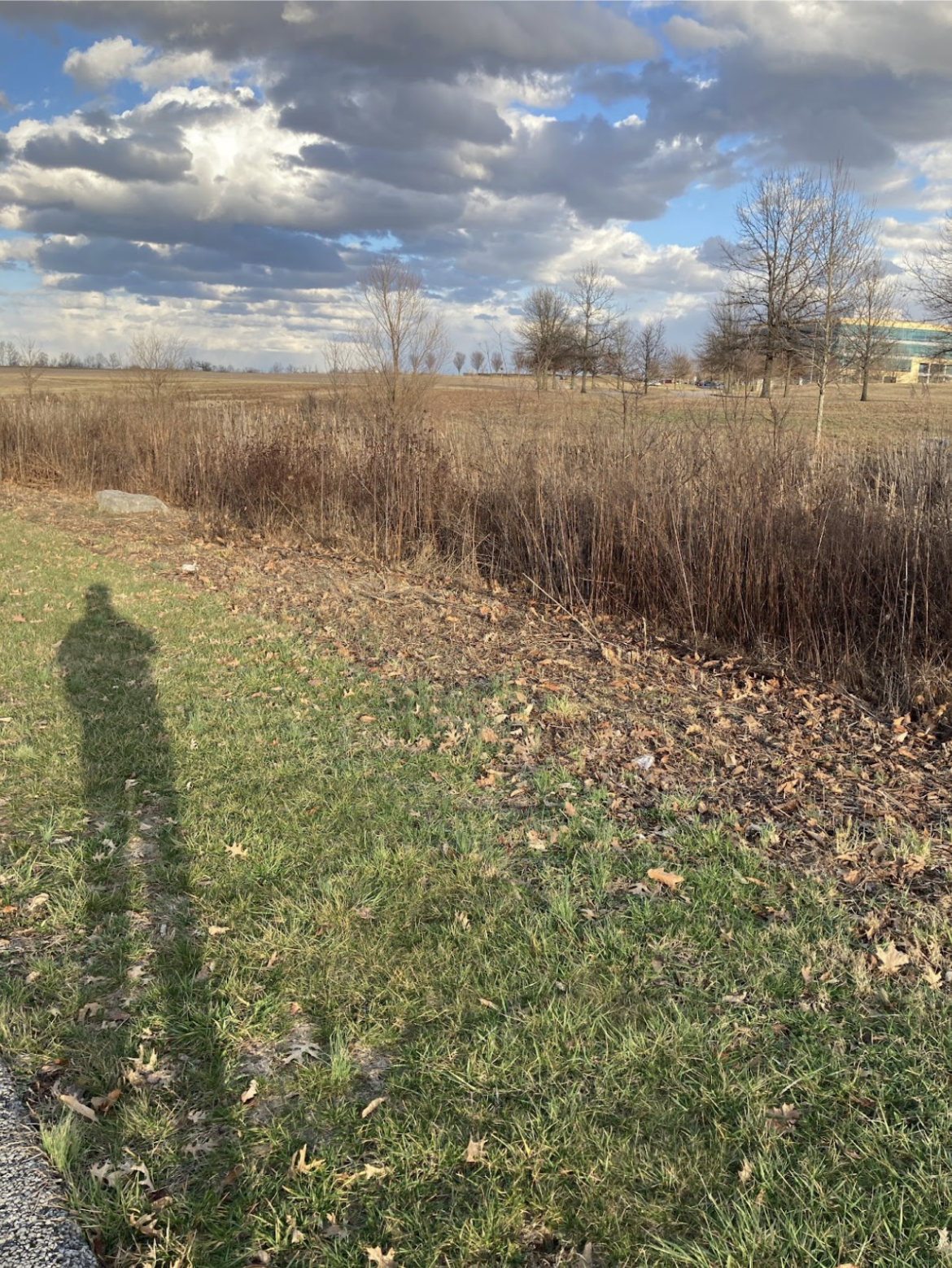 Why Emotional Connections to the Earth Matter in Restoration: Teachings from Karen Kinslow