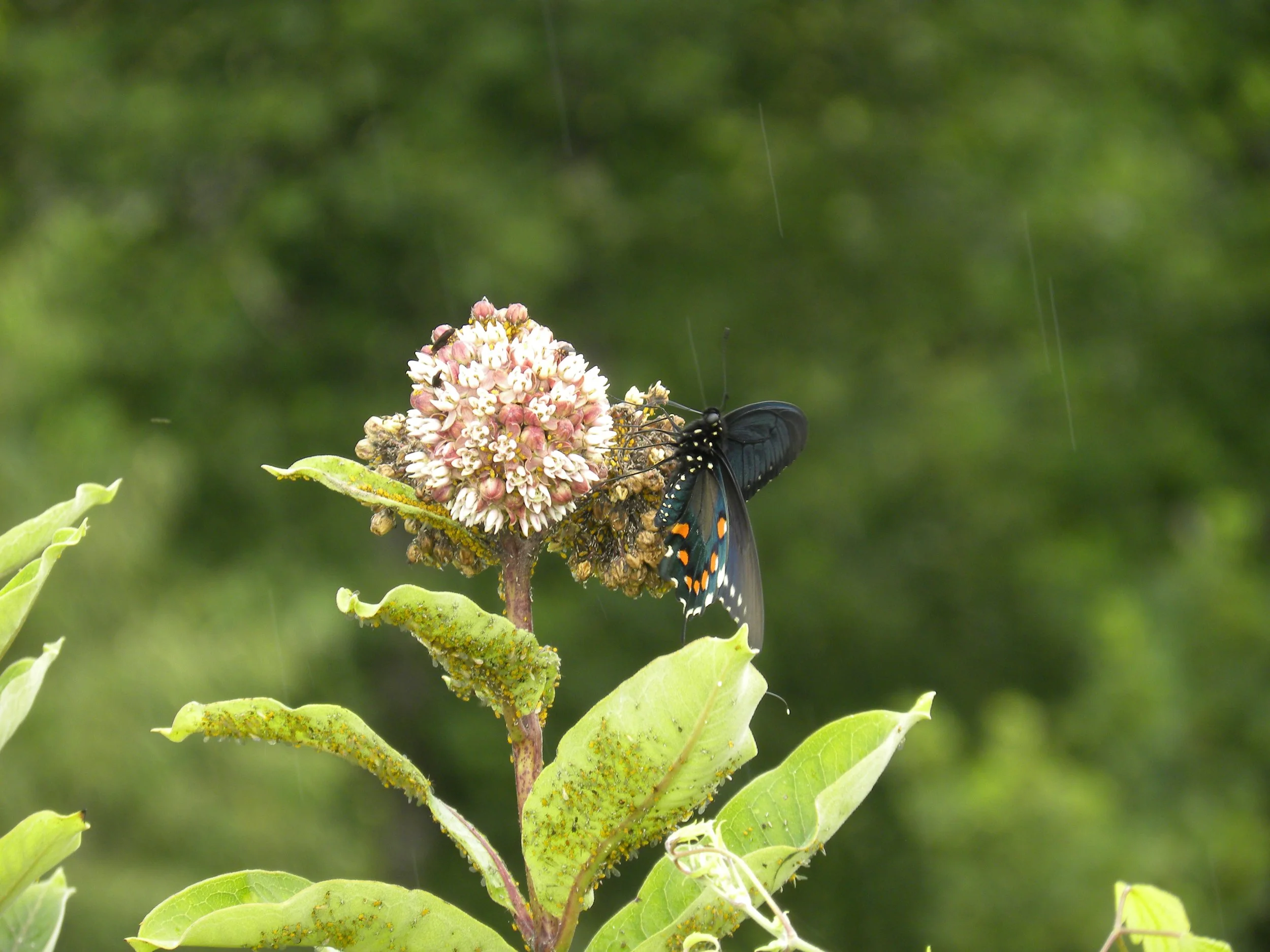 DSCN4249.JPG