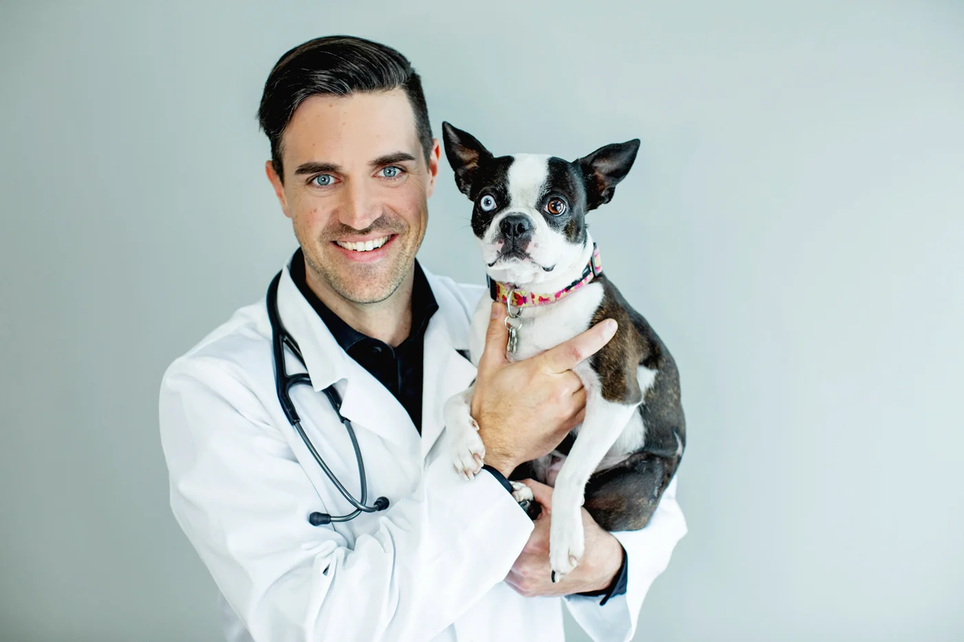 beach veterinary clinic