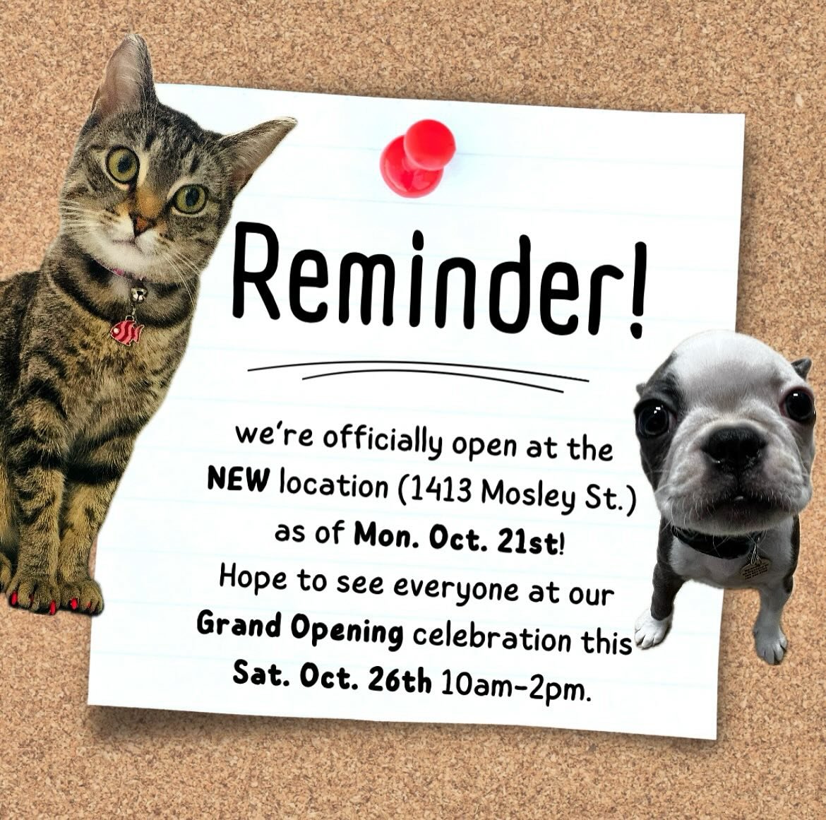 We are excited to remind everyone that as of Mon. Oct. 21, 2024 we will be at our new home 1413 Mosley St. We can&rsquo;t wait to welcome you there.