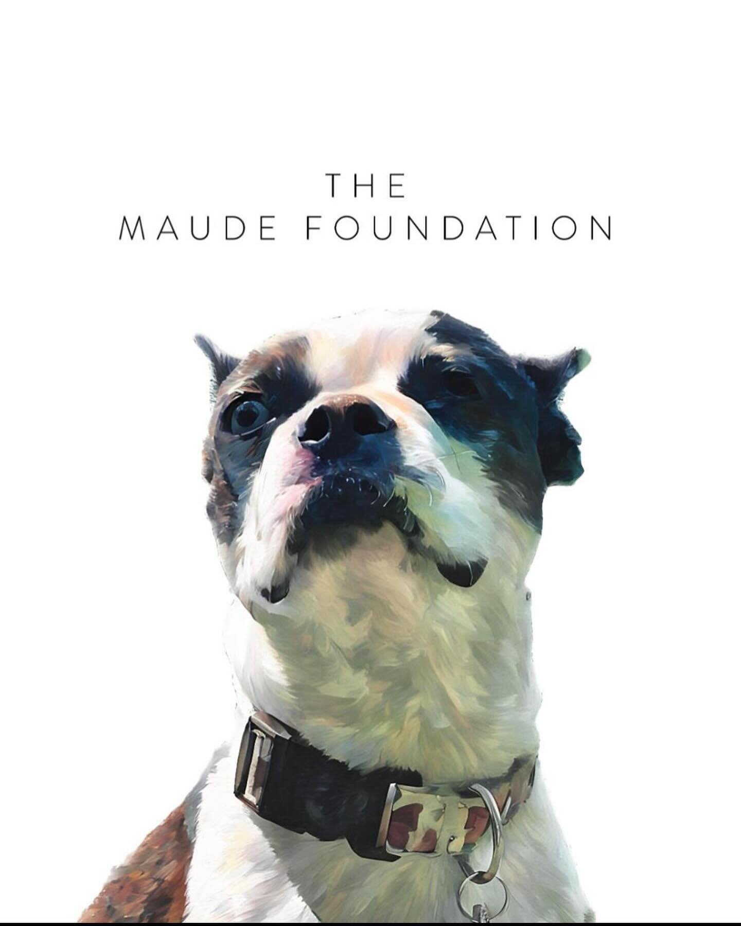The Wasaga Beach Veterinary Clinic is very proud to announce the creation of The Maude Foundation. This foundation was created by Dr. Holly Spring and Dr. Cameron Lindsay when our adorable and quirky mascot Maude passed away in 2023.
The goal of the 