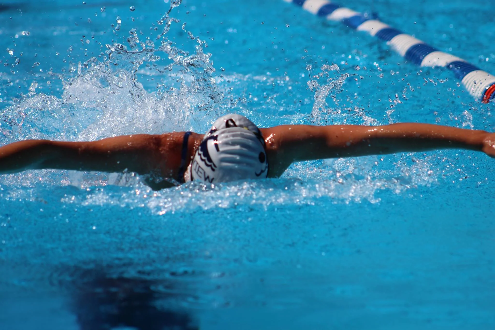 TorviewSwimmer (1).jpg