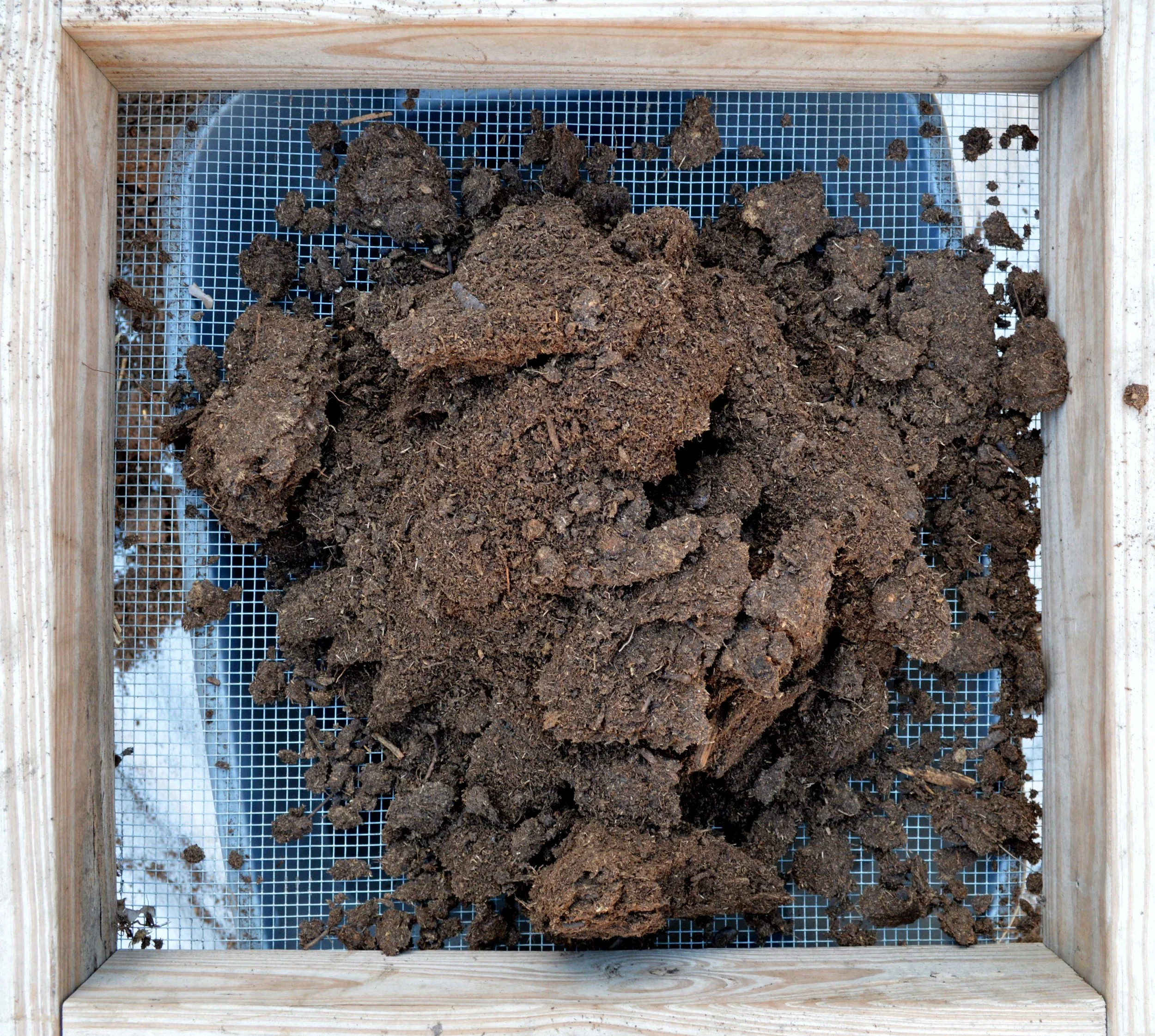Peat Moss Before Sifting.jpg