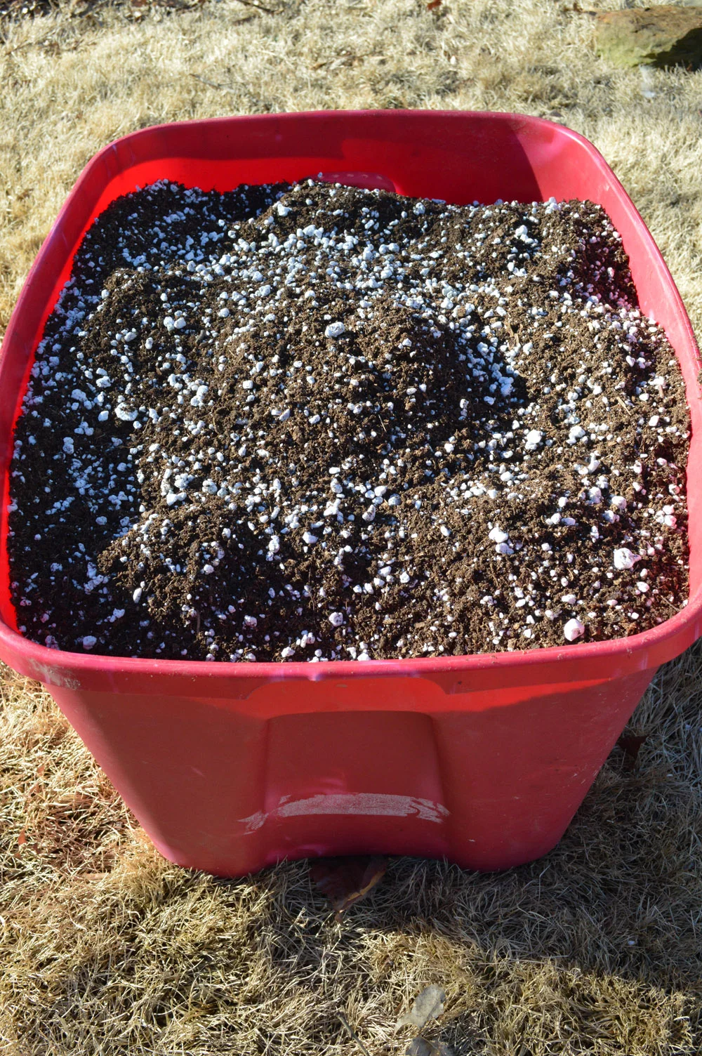 Seedling Mix in Bucket.jpg
