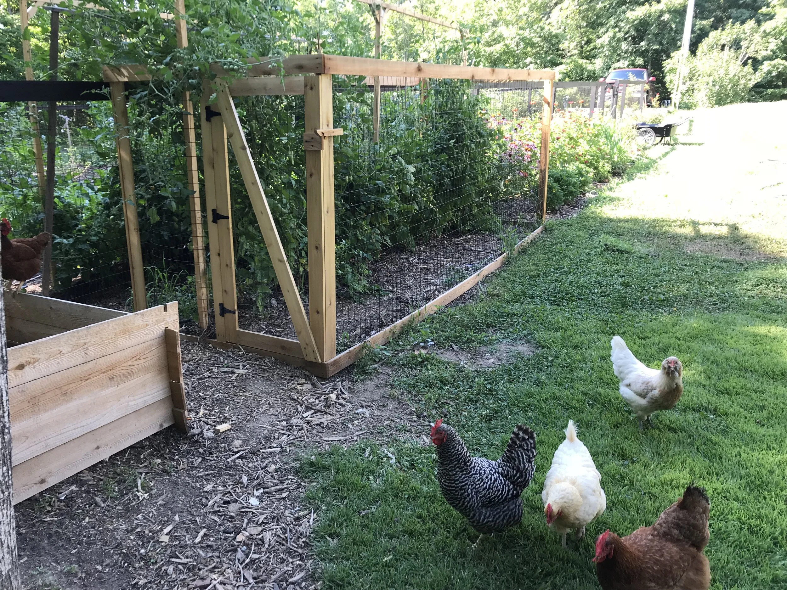 The garden bump out for tomatoes worked like a charm! We have lots of deer so everything needs to be fenced.