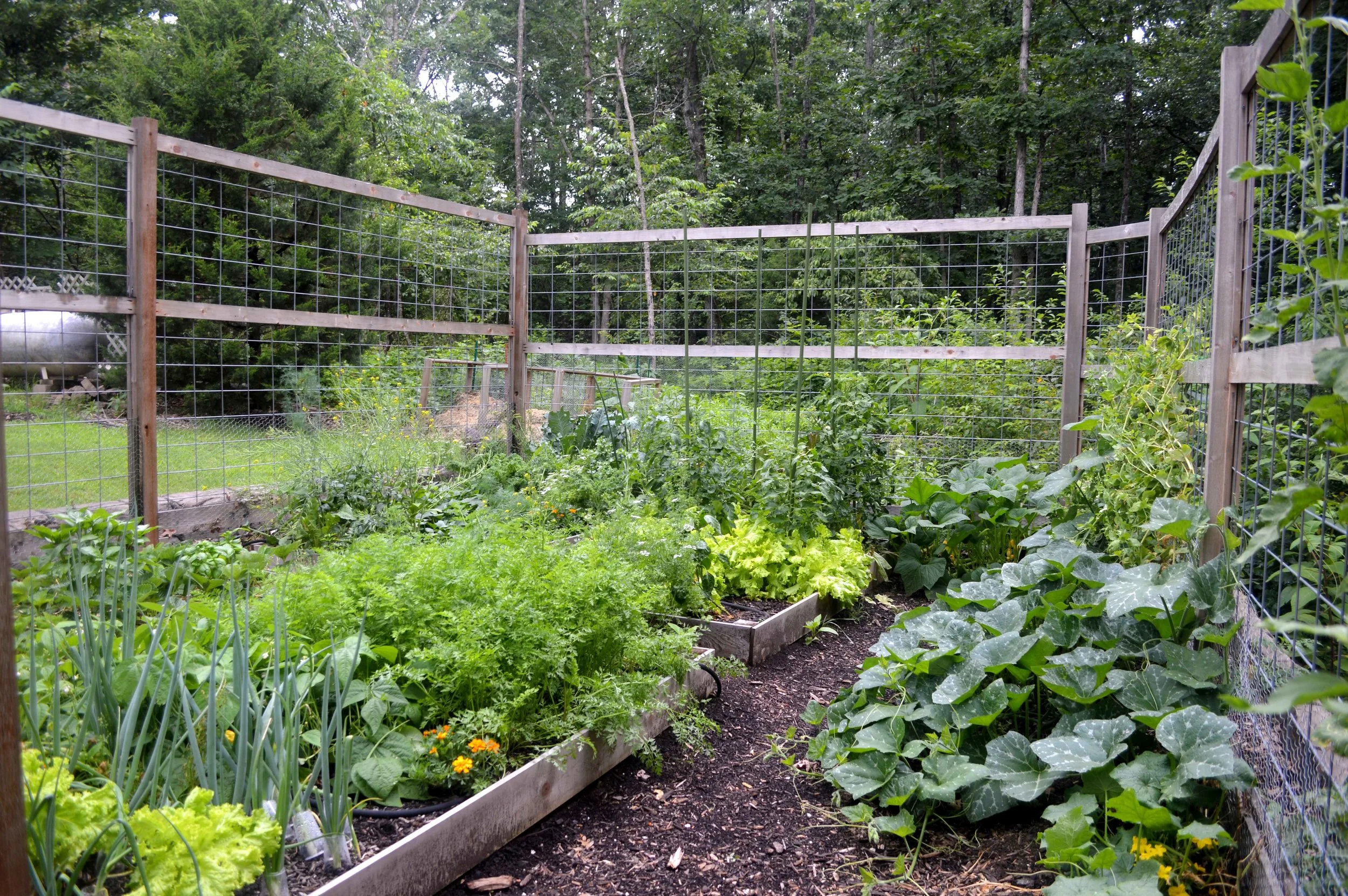 Smaller garden