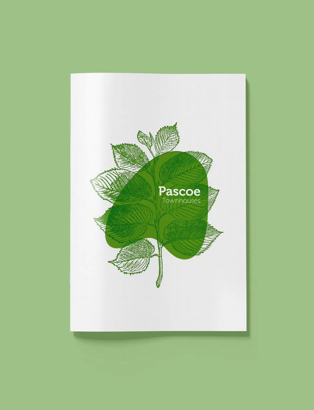 Pascoe-Development2.jpg