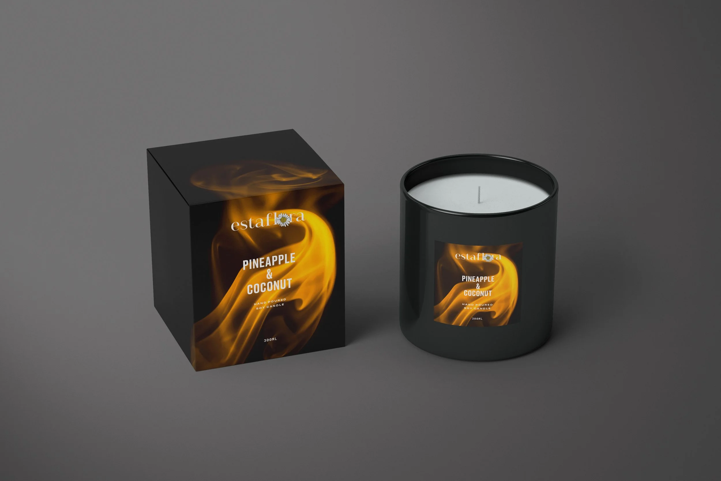 Pineapple Front View.jpg