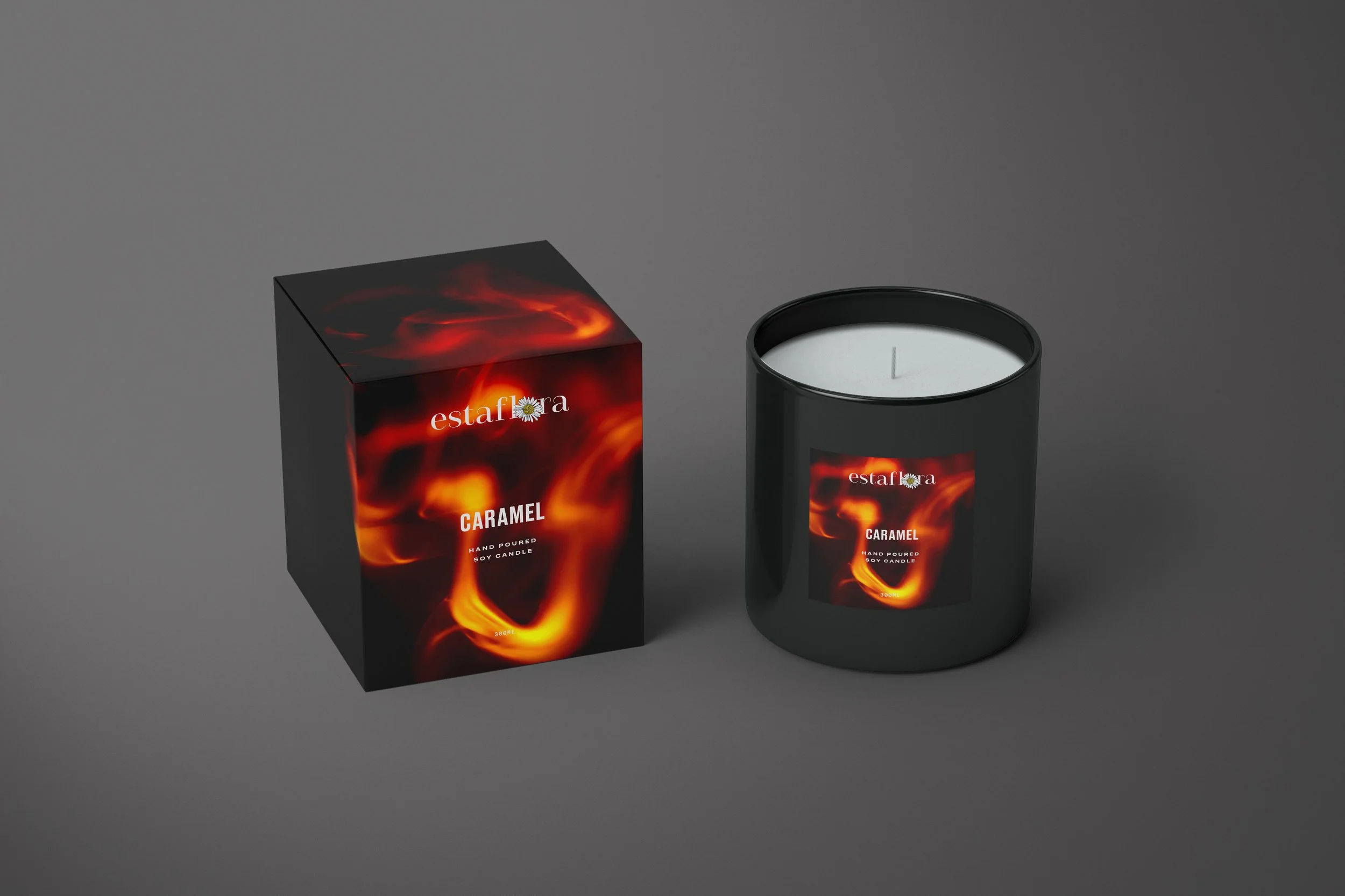 Carmel Front View.jpg