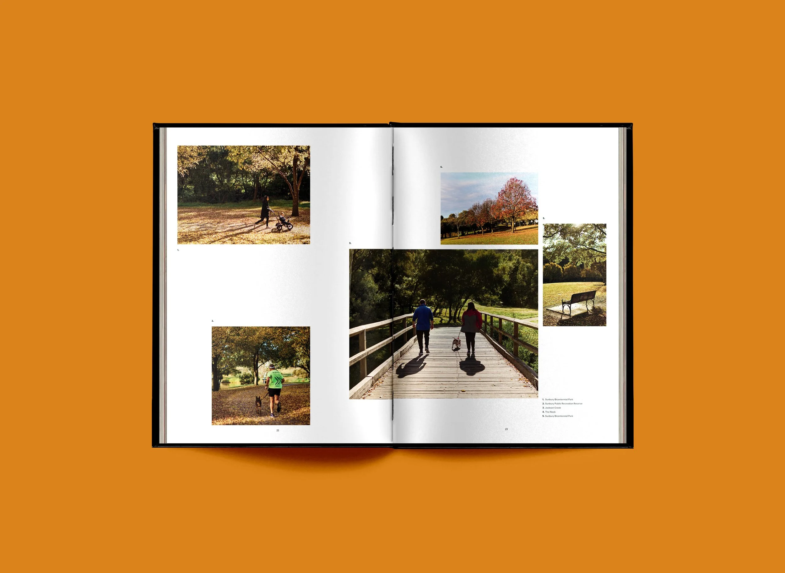 Michells Lane-2-Spread.jpg