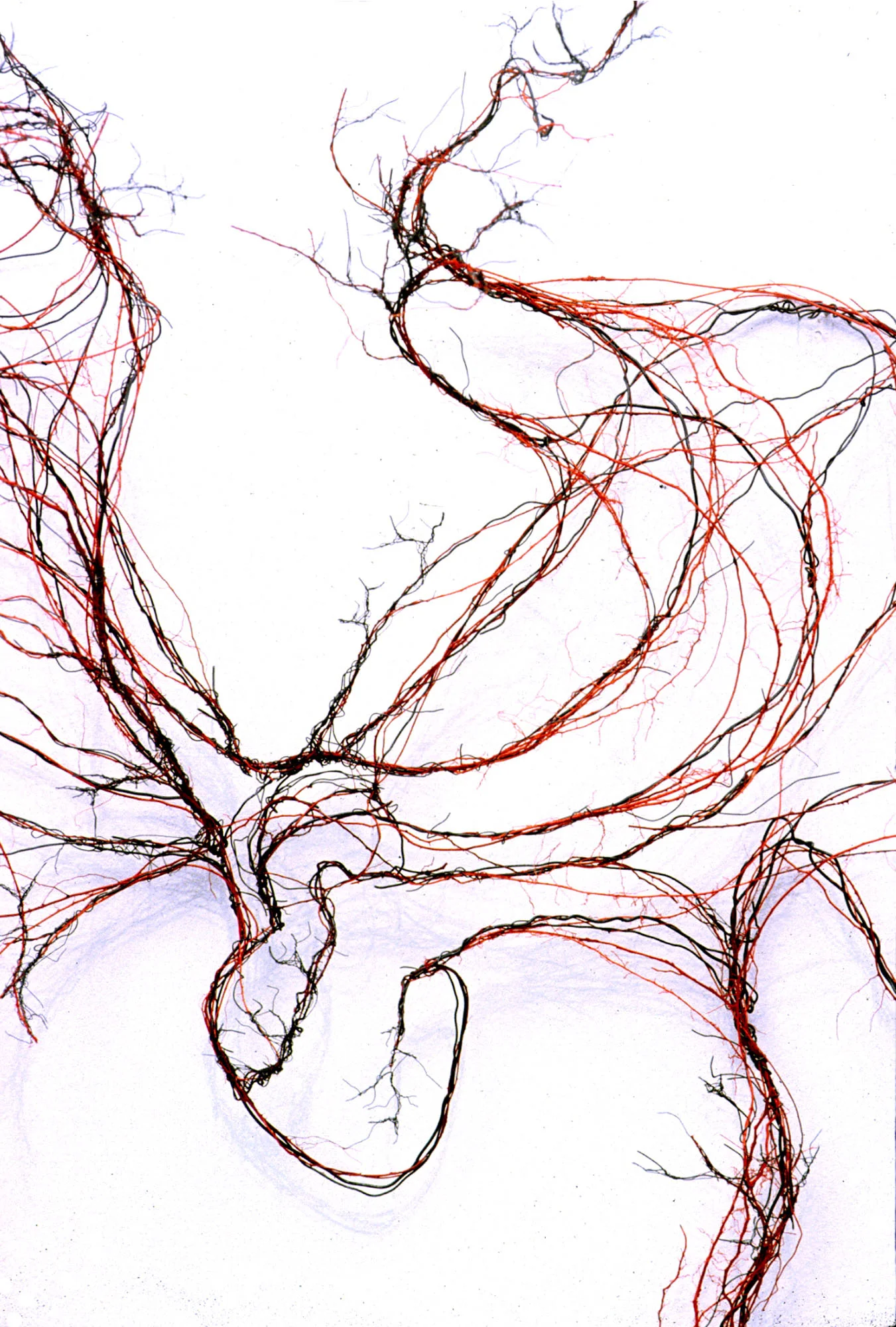 Circulation