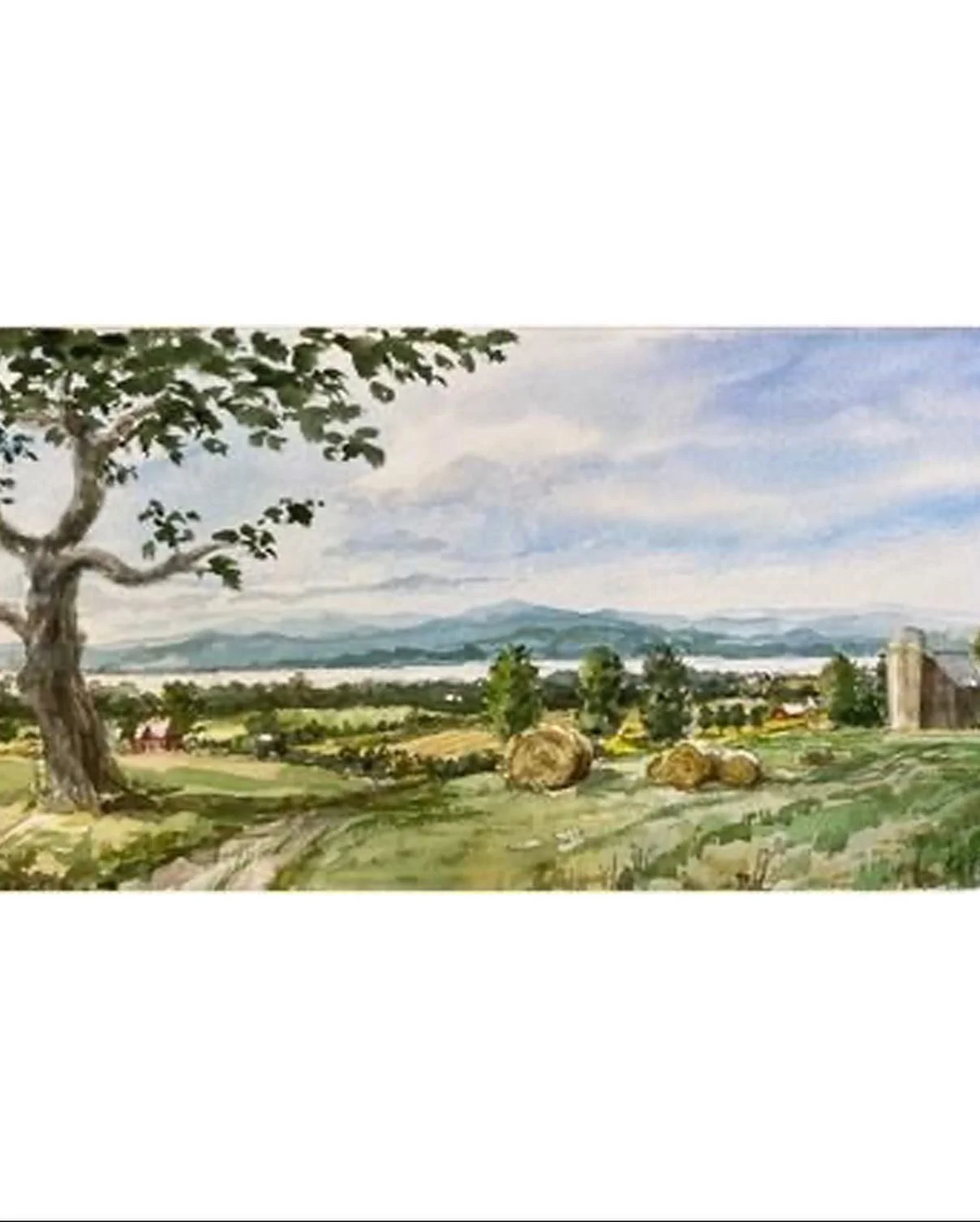 ✨What are your thoughts on what 40% greenhouse gas reduction x 2030 will look like & feel like?  This beautiful watercolor by Linda Reynolds will be writ large 3.5x7’ with community collage & words 🖼starting Sunday 10-2 at the Charlott