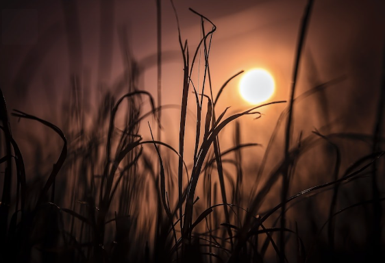 Screenshot 2025-01-23 at 12.36.49 AM.png