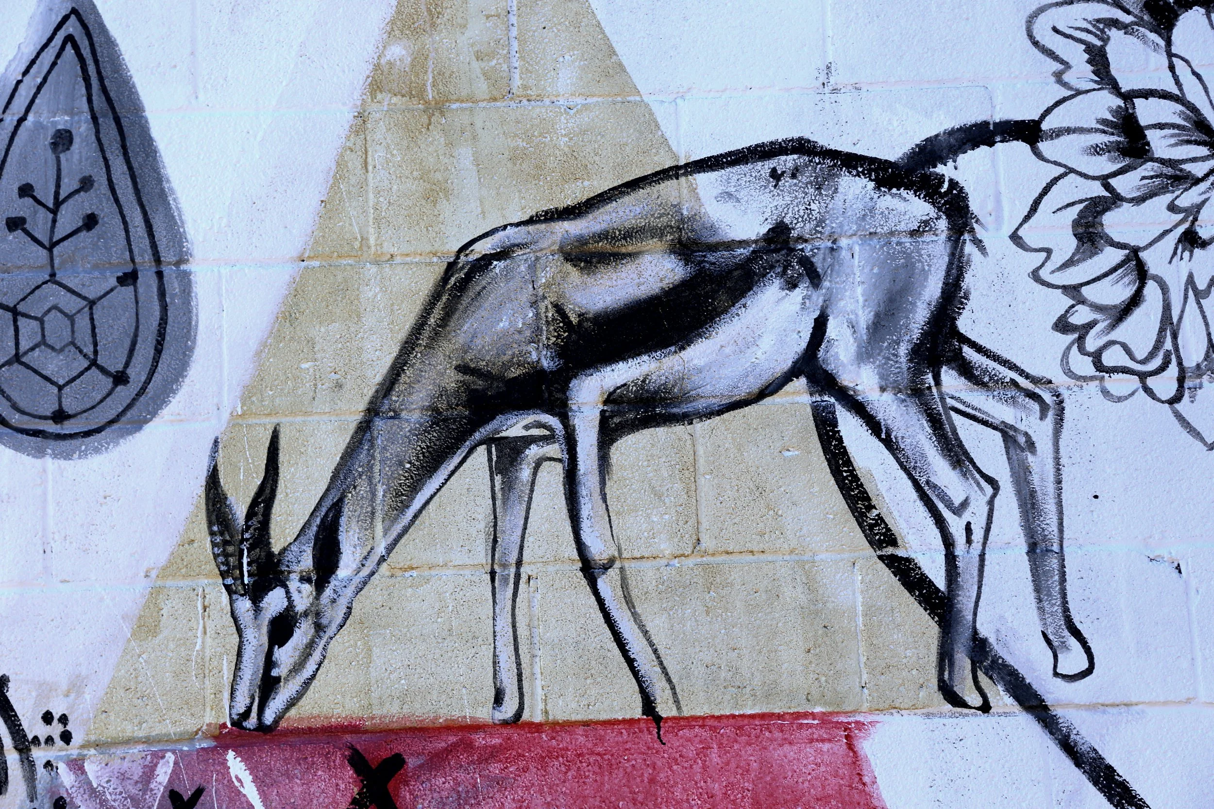 freddy sam rochester 8.JPG