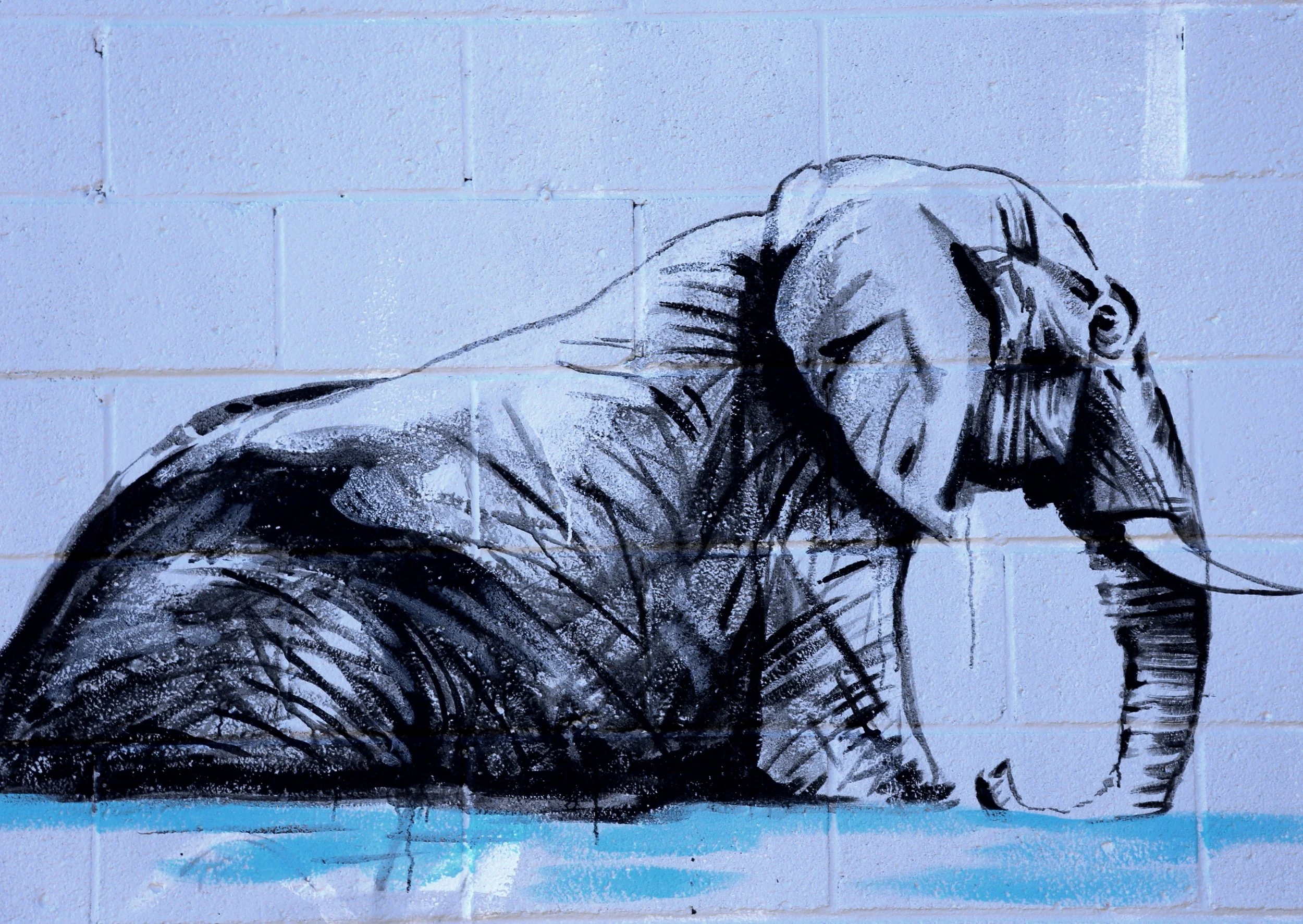 freddy sam rochester 7.JPG