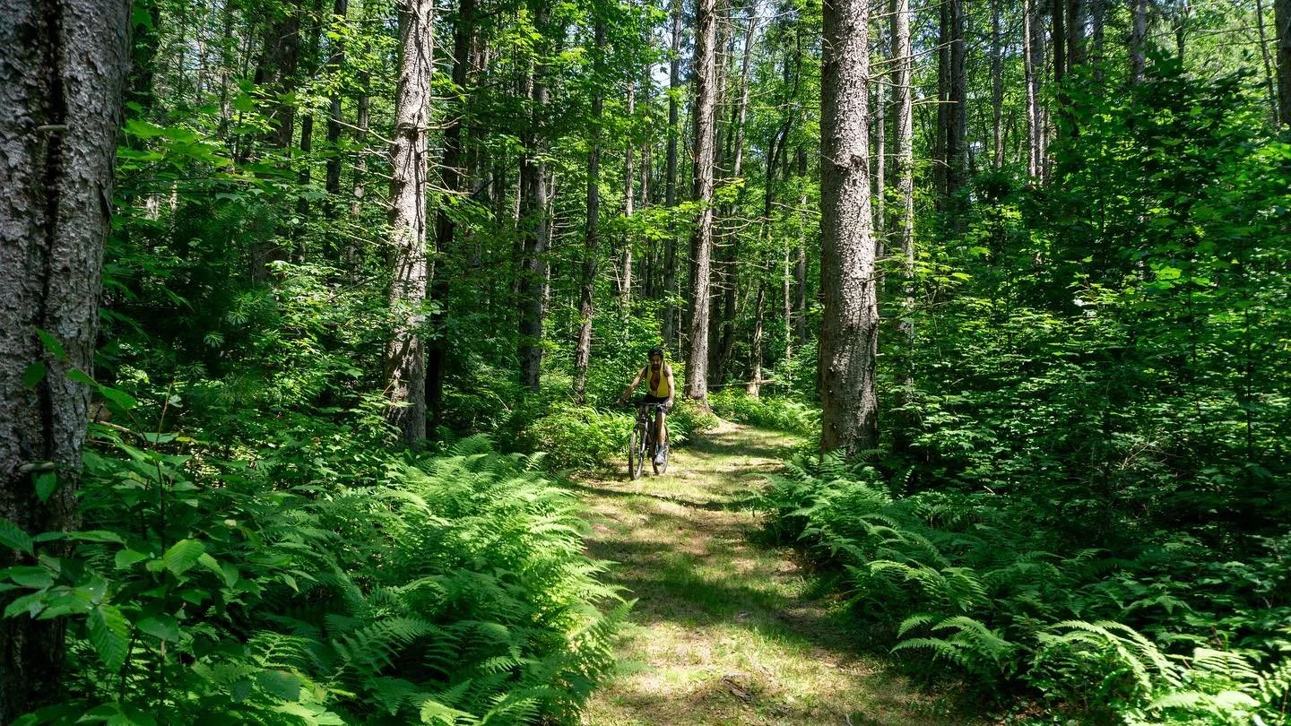 @jamfund Fundo moments !