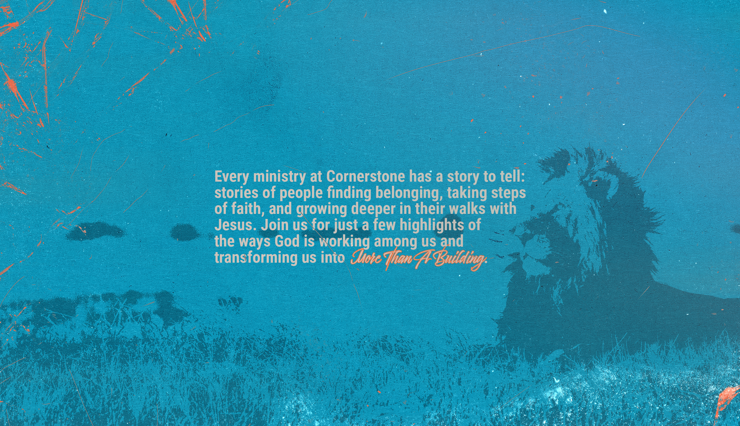 S&C Squarespace Banner.png