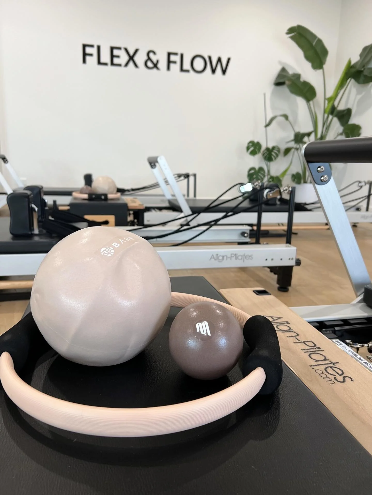 The Flex &amp; Flow difference? All the extra TLC 💚✨
Not just from our teachers in class, but in every corner of our studios, too.

✨New props ✨New fans ✨New straps ✨New shoulder pads ✨ New Hand dryers ✨ New socks ✨Fresh paint ✨ Glow Up stations ✨ S