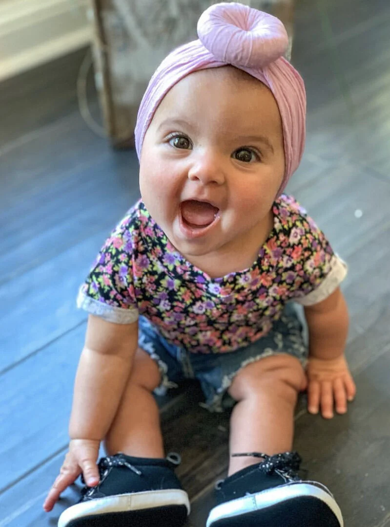 The Donut Collection