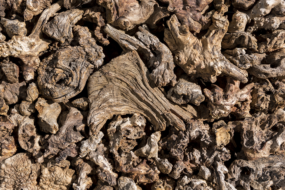 Darling Sculpt_Nov 2015_Whiting Res_25.jpg