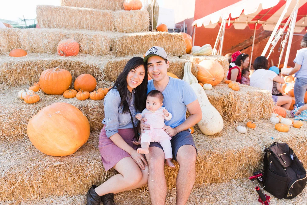 pumpkin+patch.jpeg