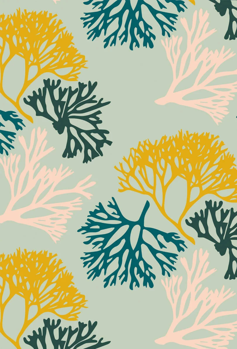 1200-Corail