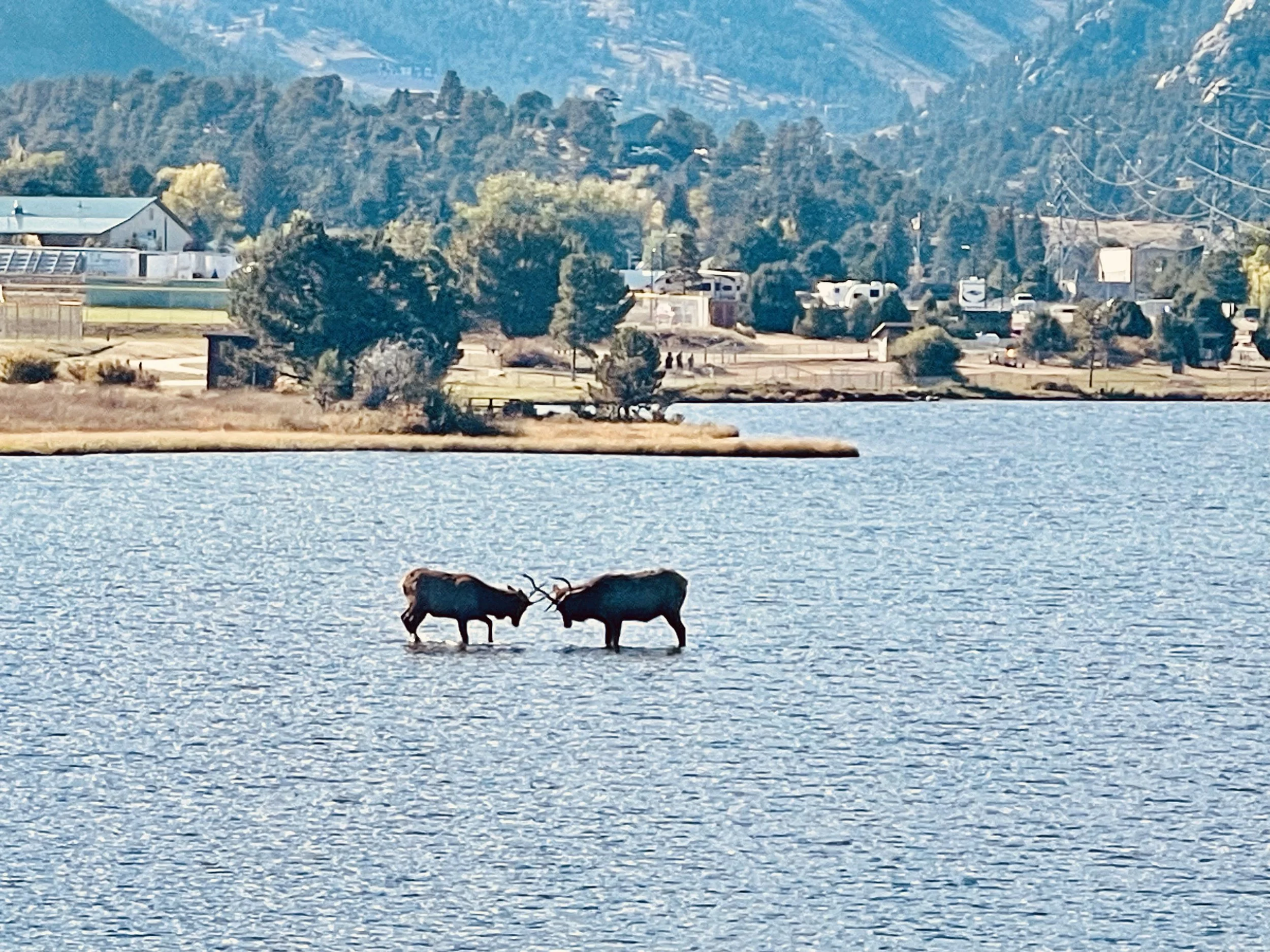 Colorado, Radical Chic State