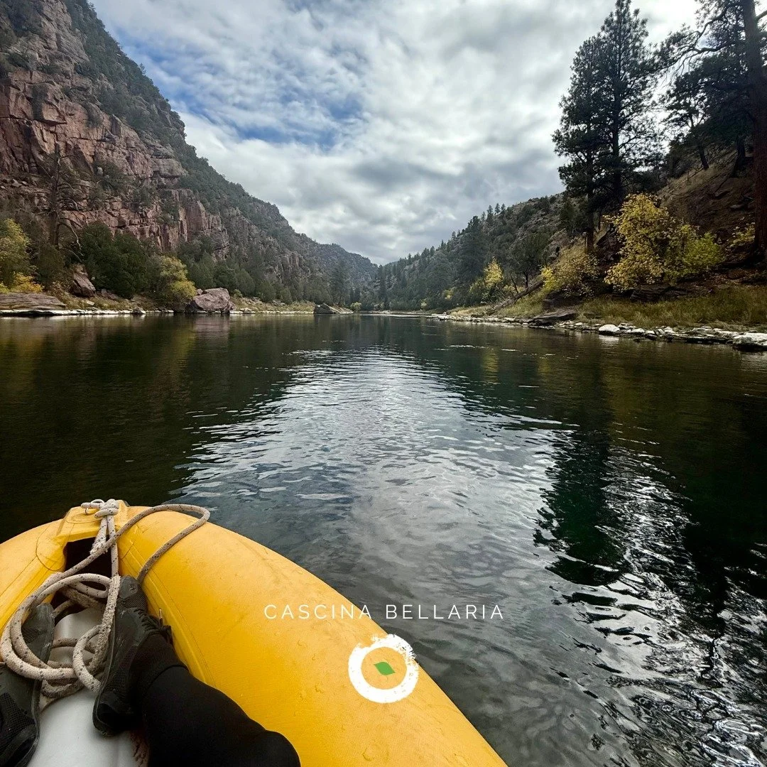 🛶 L'INCREDIBILE BELLEZZA DELLA SEMPLICE SOLIDARIET&Agrave;
Siamo in un paesino, John Dutch, nel nord dello Utah, 220 abitanti ad alta quota sopra un canyon. Sotto scorre il Green Rivern che molto pi&ugrave; avanti, nelle Canyonlands, confluisce nel 