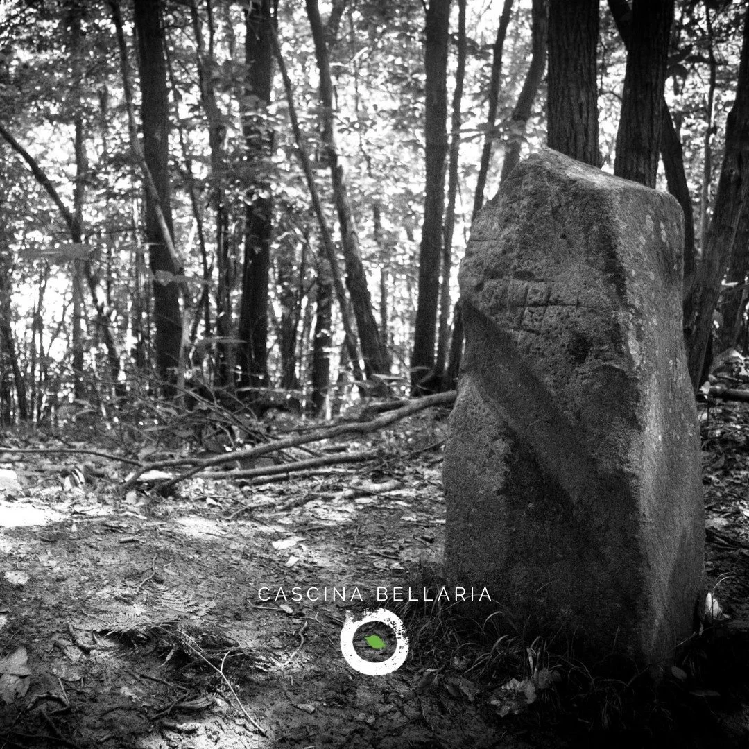 🌑 SULLE PROCESSIONI NOTTURNE
Nelle notti di Samonios &mdash; o, pi&ugrave; volgarmente, di Halloween &mdash; molti si travestono e fanno festa.
Eppure, dietro a questi gesti apparentemente ludici, si nascondono memorie e riti di antica profondit&agr