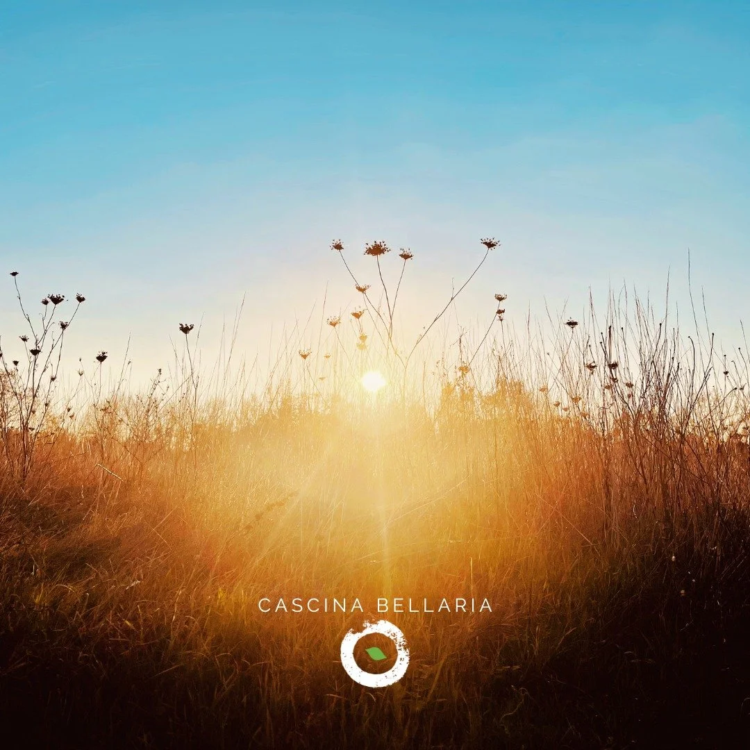 ☀️ LA CASCINA RIPOSA
Il sole di questi giorni ci riporta alla mente i ricordi dell'estate passata nella natura della Cascina.
☀️
Presto in arrivo novit&agrave; ed appuntamenti per rivederci e trascorrere momenti spensierati alla Bellaria.
.
.
.
.
.
.