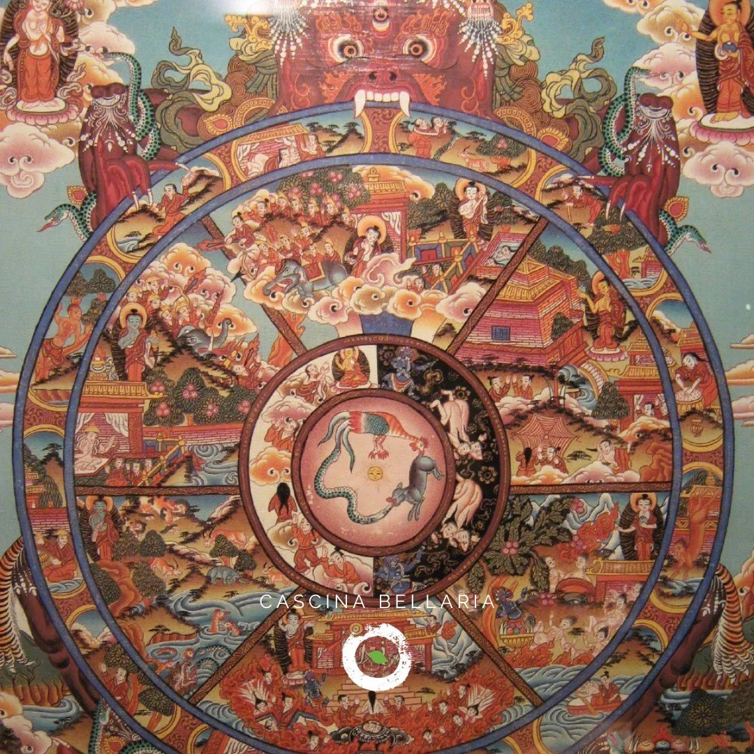 📖 SENTIERI DELL'INVISIBILE: LE PAROLE CHE NON TI ASPETTI
Raramente riflettiamo sull&rsquo;origine delle parole che utilizziamo. Presi dalla fretta, dallo stress o, peggio ancora, dalla necessit&agrave; di comunicare velocemente, deturpiamo e sinteti