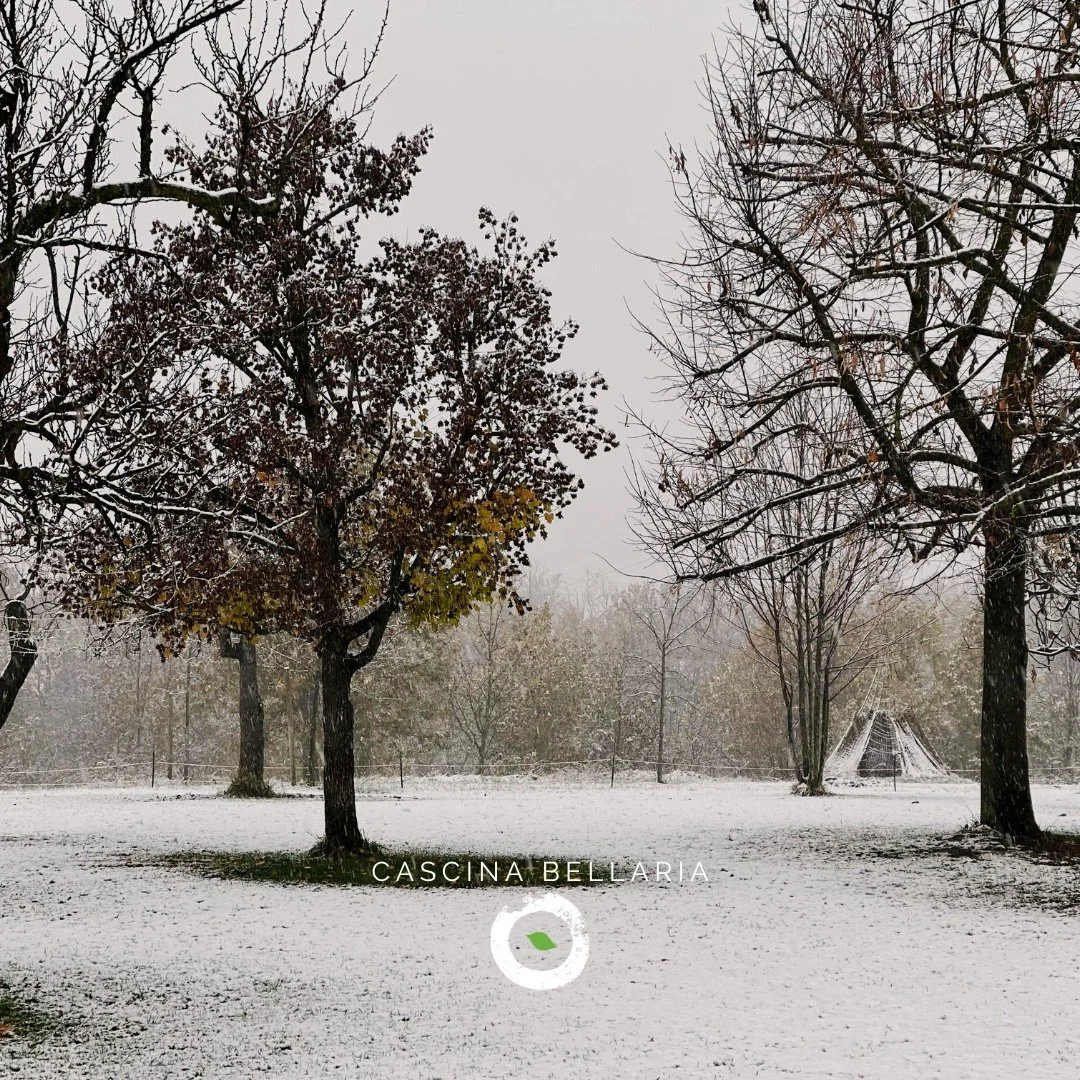 🗓️ APPUNTAMENTI IN CASCINA
La speciale apertura invernale in Cascina prosegue con alcuni eventi imperdibili. Ti ricordo che resteremo aperti fino al 10 gennaio, tutti i giorni dalle ore 19.00 alle ore 23.00, con servizio bar, ristorante, pizzeria, a