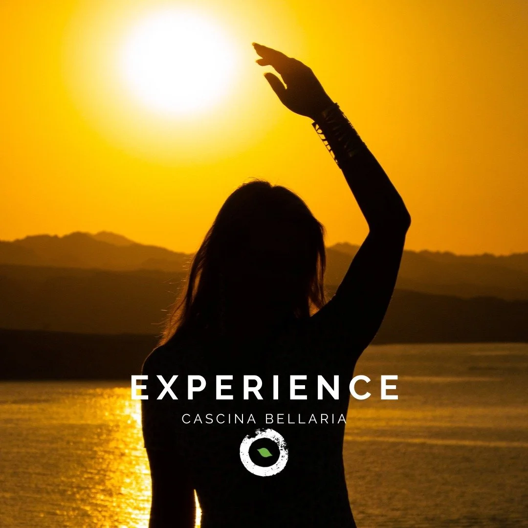 🪐 ECSTATIC DANCE
Non perderti l'appuntamento speciale con l'ecstatic dance di mercoled&igrave; 7 gennaio in Cascina!
Movimento, ritmo e meditazione si intrecciano per iniziare il nuovo anno con energia e consapevolezza.
🪐
La danza &egrave; un lingu