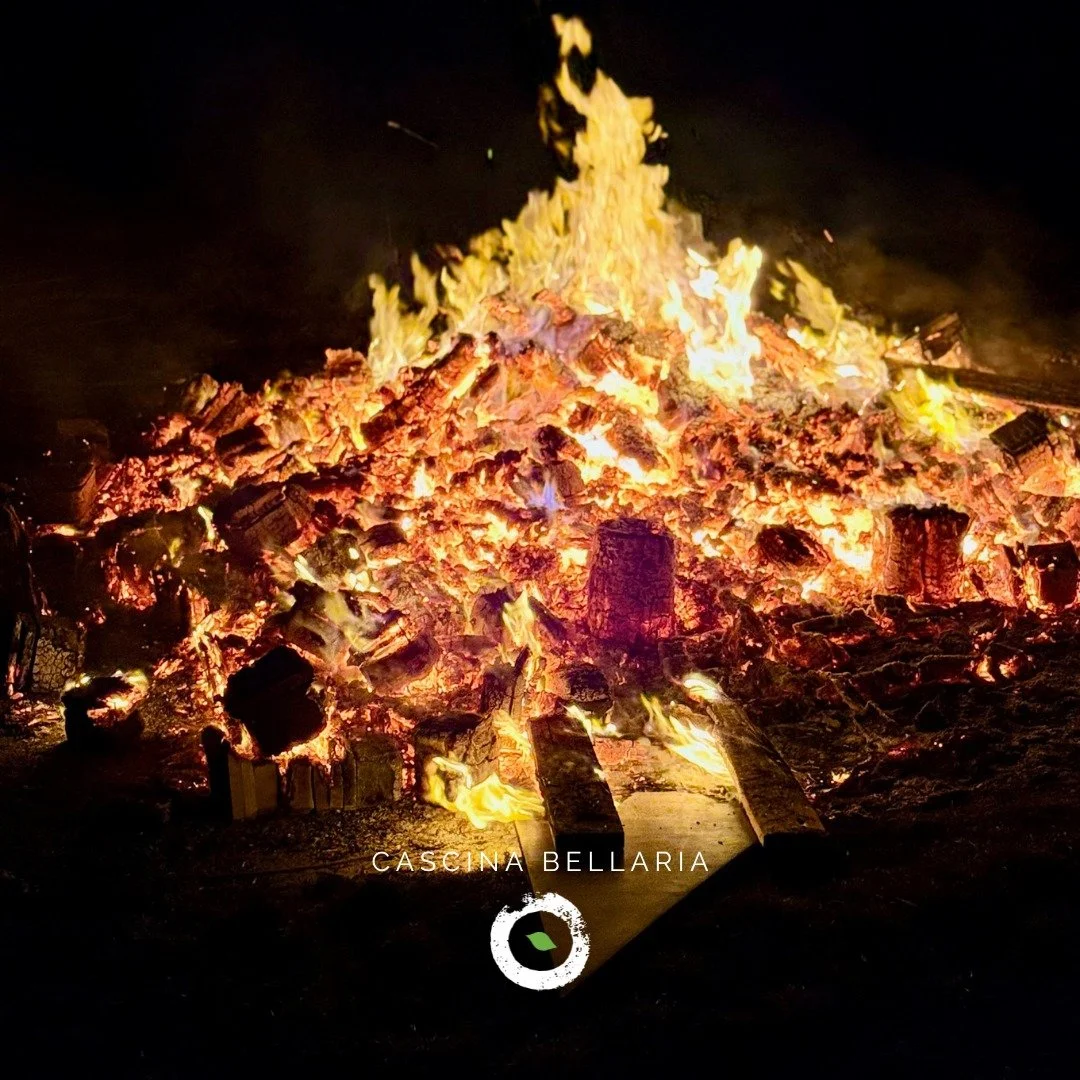 ❄️ Dietro le quinte dell&rsquo;inverno
&ldquo;L&rsquo;inverno &egrave; il momento in cui si sistema, si progetta, si pensa meglio. La Cascina lavora in silenzio per quello che verr&agrave;.&rdquo;
.
.
.
.
.
.
.
.
.
.
#music #musicclub #livemusic #cas